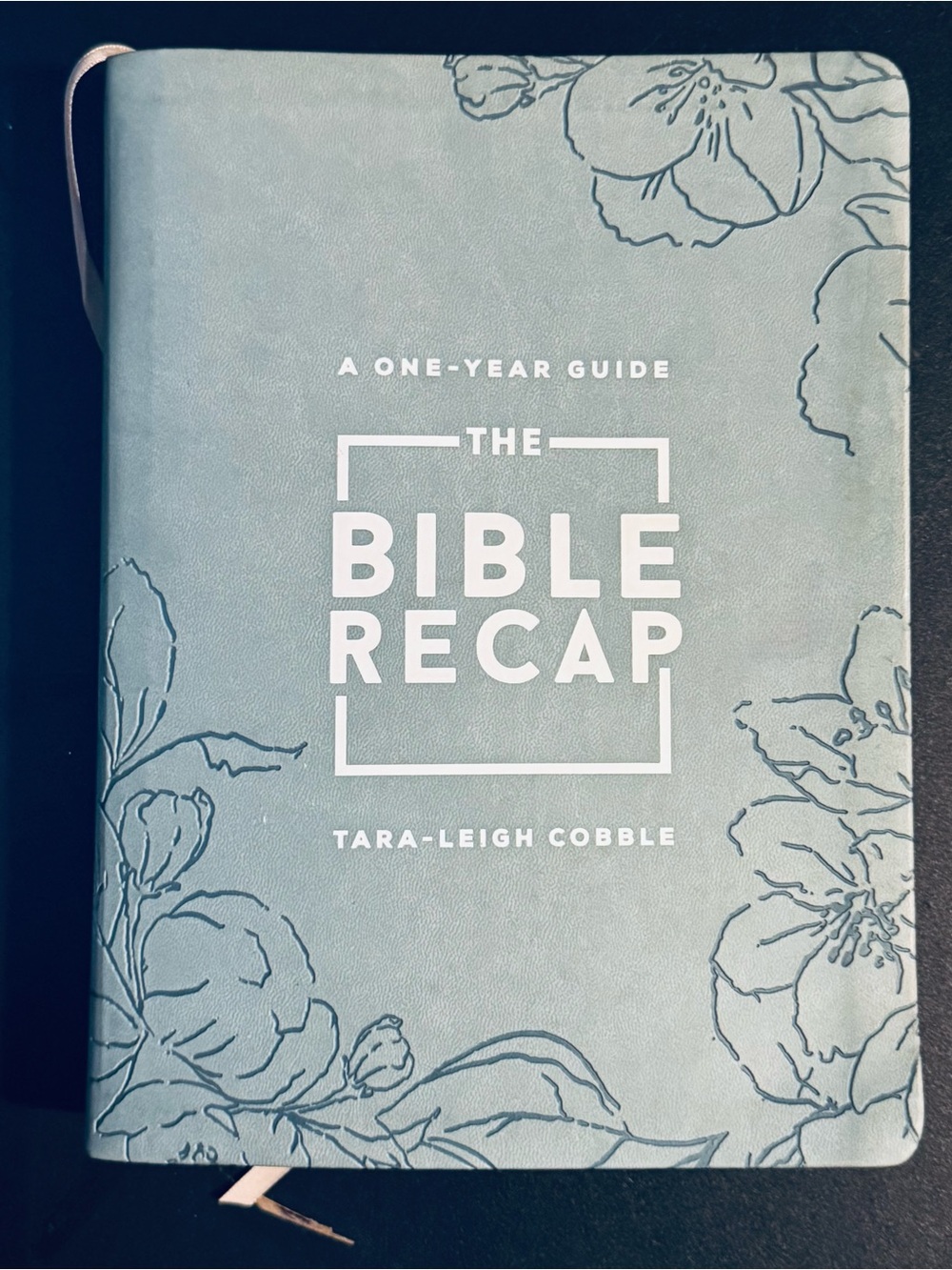 The Bible Recap - Picture 3 of 7